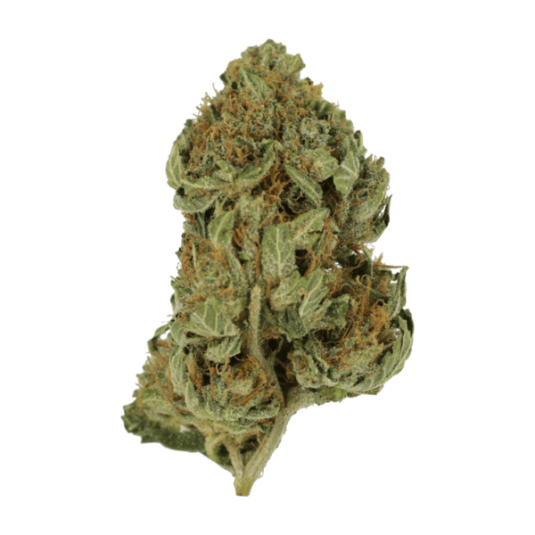 Bubblegum – 1 ounce | Buy Weed Packs Canada
