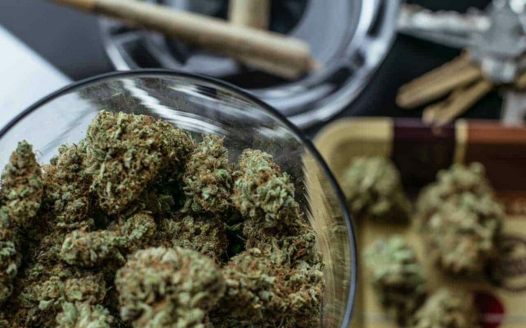 Premium cannabis vs Affordable Weed | Buy Weed Packs Canada