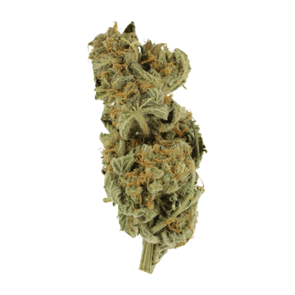 Gorilla Glue | Buy Weed Packs Canada