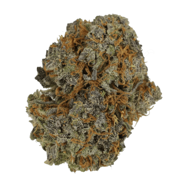 Jack Herer 1 Ounce | Buy Weed Packs Canada