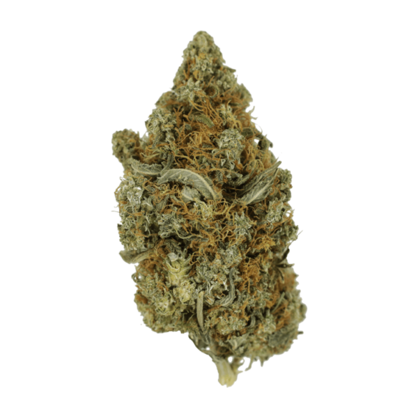 Jack Herer 1 Ounce | Buy Weed Packs Canada