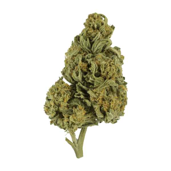 Blackwater | Buy Weed Packs Canada