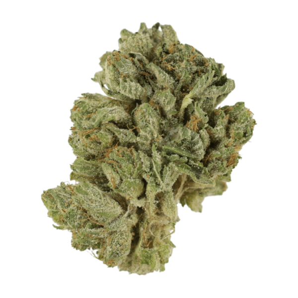 Northern Lights 2 for $69 | Buy Weed Packs Canada
