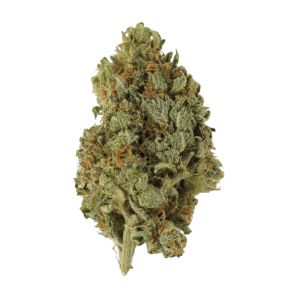 Sugar Cookies | Buy Weed Packs Canada