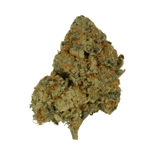 9lb Hammer | Buy Weed Packs Canada