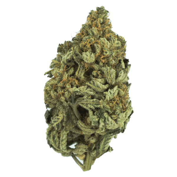 Bakerstreet | Buy Weed Packs Canada