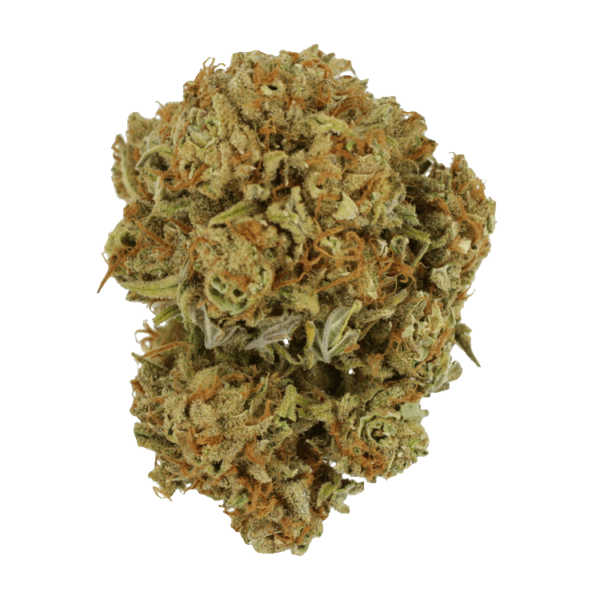 Maui Wowie | Buy Weed Packs Canada