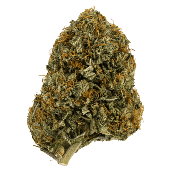 Wifi OG – 1 ounce | Buy Weed Packs Canada