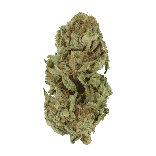 Golden Goat | Buy Weed Packs Canada