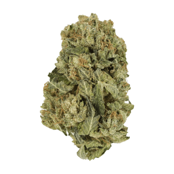 Black Domina | Buy Weed Packs Canada