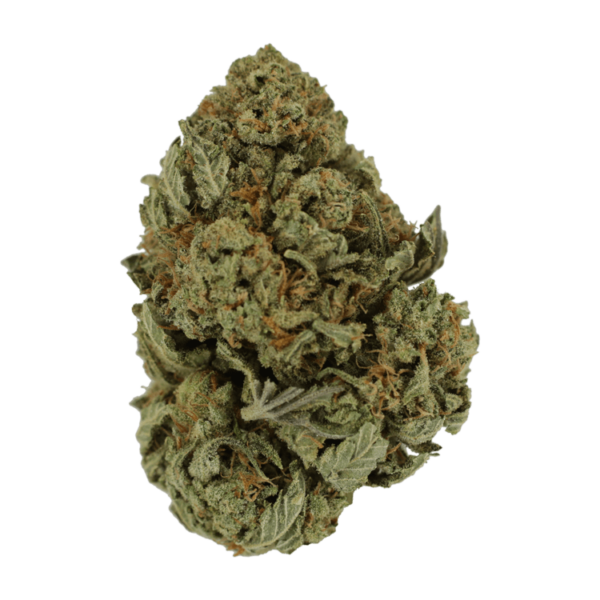 Master Kush Ultra | Buy Weed Packs Canada