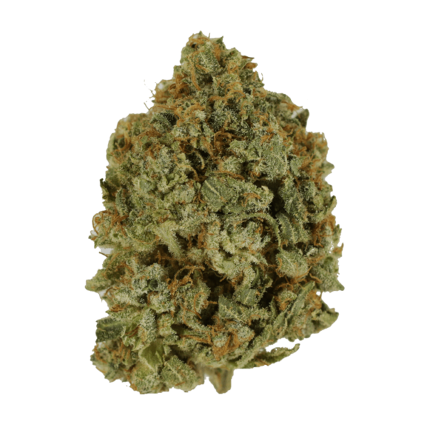 Crazy Glue | Buy Weed Packs Canada