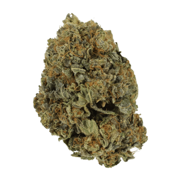 White Shark – 1 ounce | Buy Weed Packs Canada