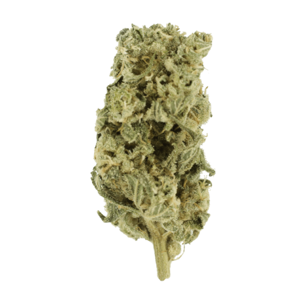 Romulan Hashplant | Buy Weed Packs Canada