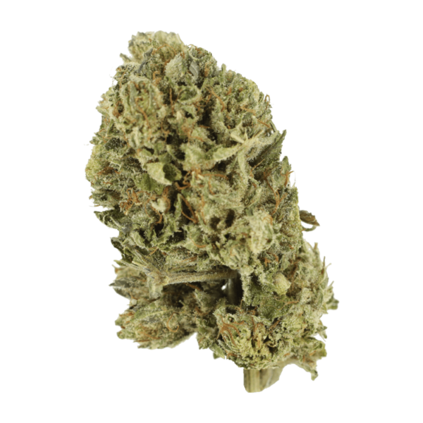 Purple OG Kush – 1 ounce | Buy Weed Packs Canada