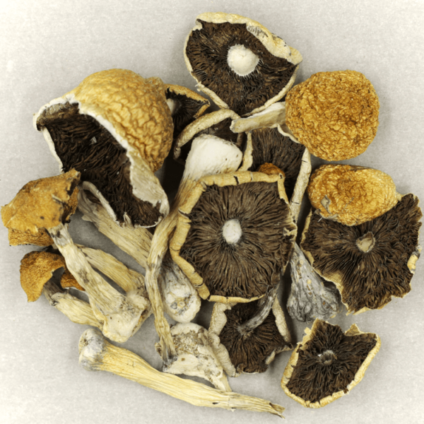 Penis Envy Cubensis | Buy Weed Packs Canada