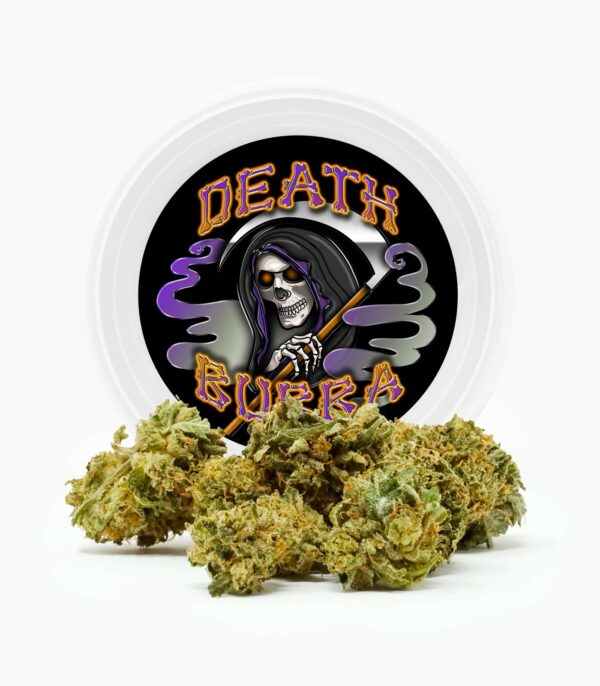 Westcoast Cali Tins – Premium Flower – Skywalker OG – 3.5g | Buy Weed Packs Canada