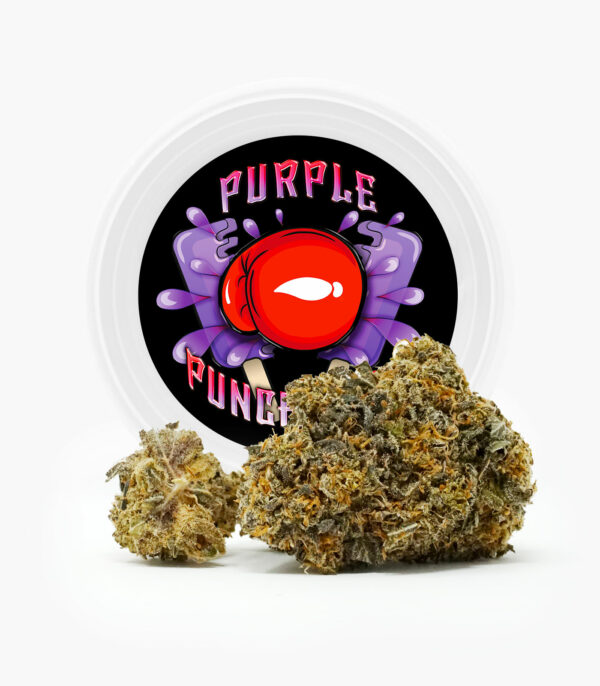 Westcoast Cali Tins – Premium Flower – Purple Punchsicle – 14g | Buy Weed Packs Canada
