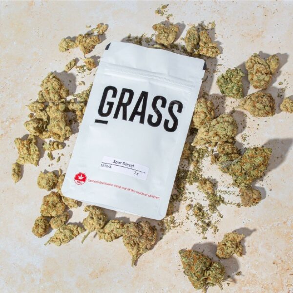1/2OZ Sample Pack (AAA) – SAVE 20% | Buy Weed Packs Canada