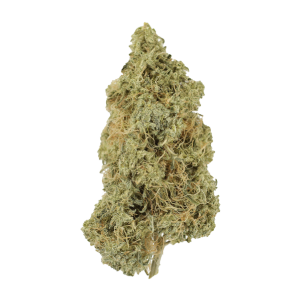 Tropicana Cookies | Buy Weed Packs Canada