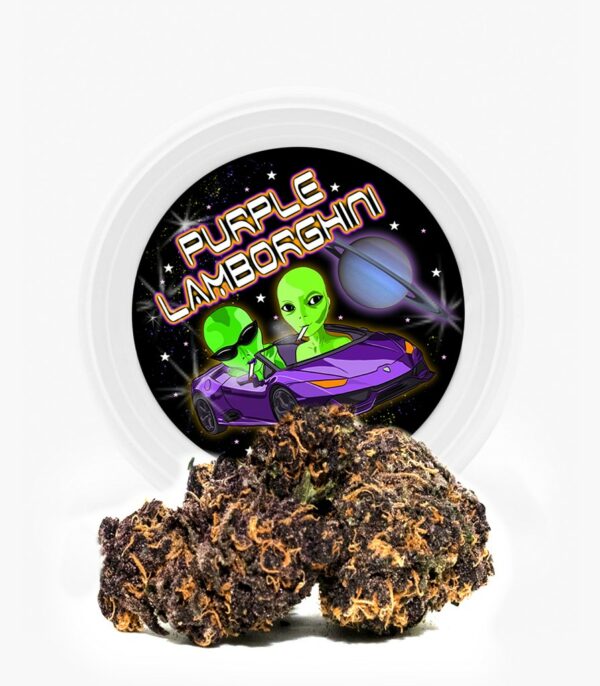 Westcoast Cali Tins – Premium Flower – Purple Lamborghini – 3.5g | Buy Weed Packs Canada