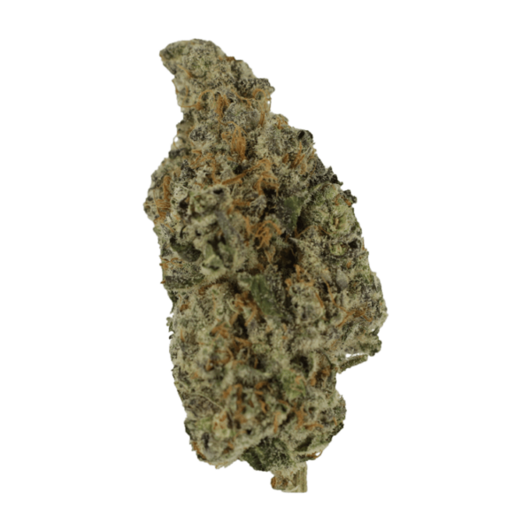Biscotti Sundae | Buy Weed Packs Canada