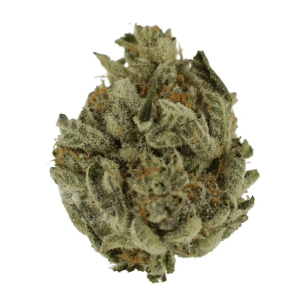Biscotti Sundae | Buy Weed Packs Canada
