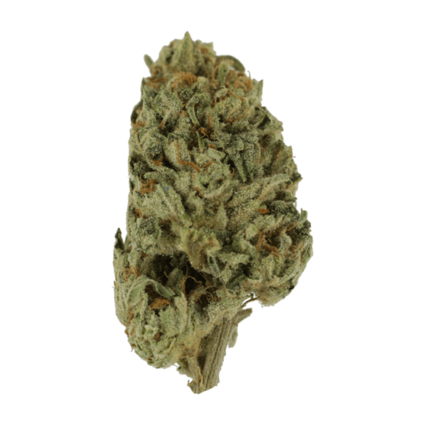 Biscotti Sundae | Buy Weed Packs Canada