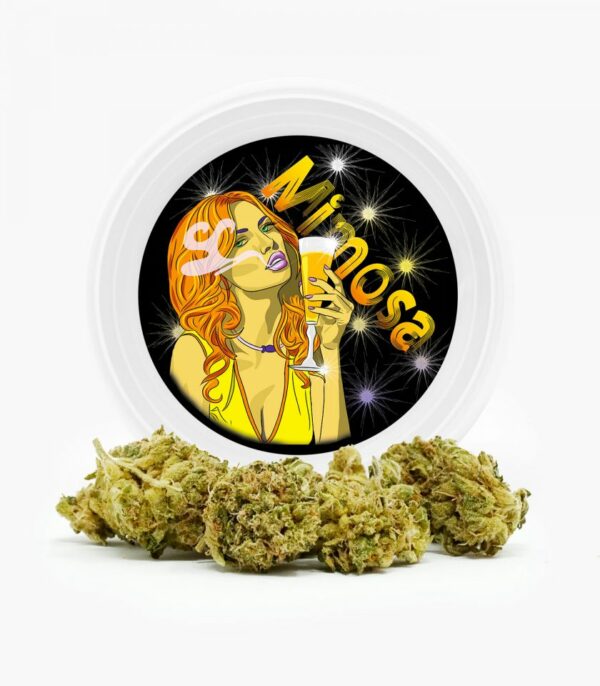 Westcoast Cali Tins – Premium Flower – Mimosa – 3.5g | Buy Weed Packs Canada