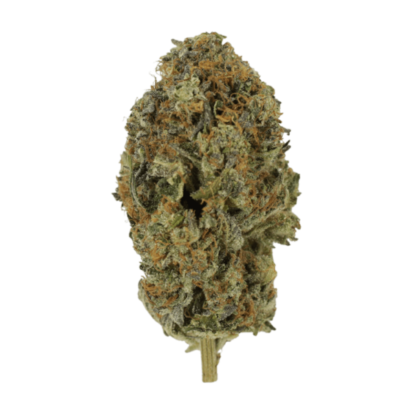 Acapulco Gold | Buy Weed Packs Canada