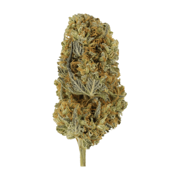 Headband | Buy Weed Packs Canada