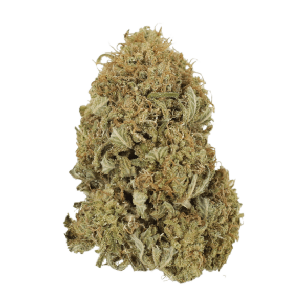 G13 | Buy Weed Packs Canada