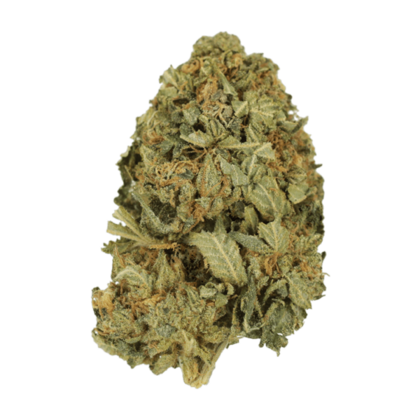 G13 | Buy Weed Packs Canada
