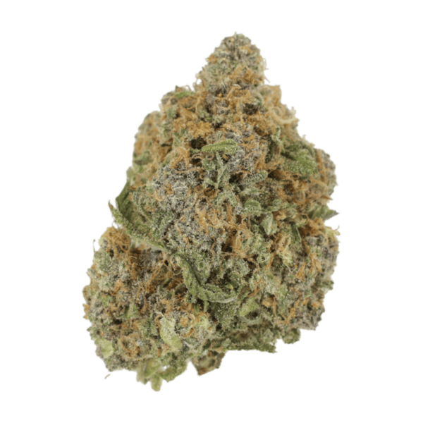 Jagermeister | Buy Weed Packs Canada