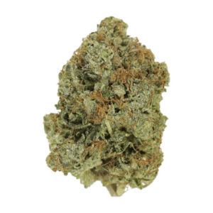 Jack Herer (popcorn) | Buy Weed Packs Canada