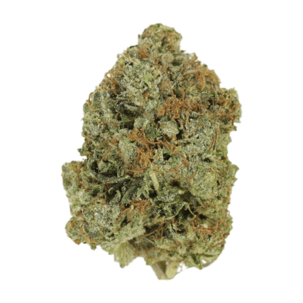 Jack Herer (popcorn) | Buy Weed Packs Canada