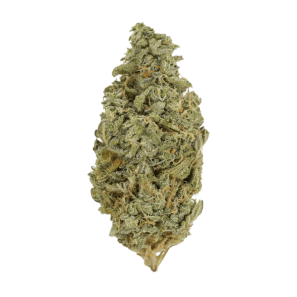 Orange Cookies | Buy Weed Packs Canada