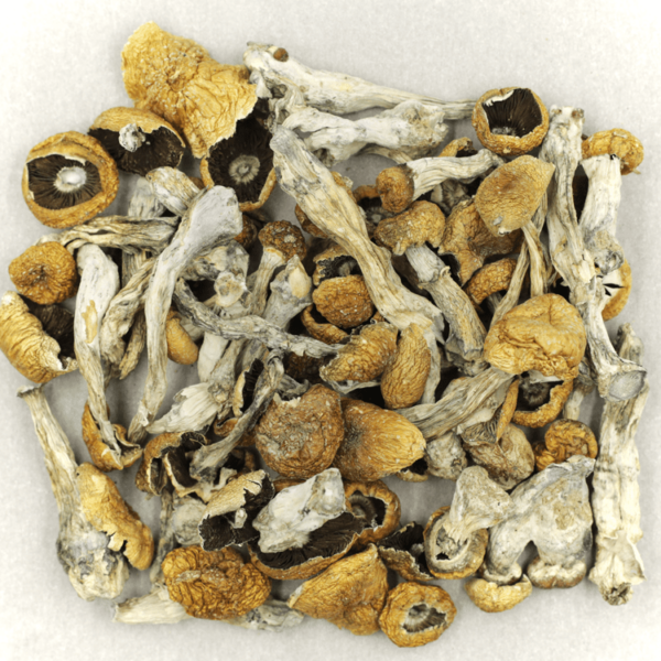 Orissa | Buy Weed Packs Canada