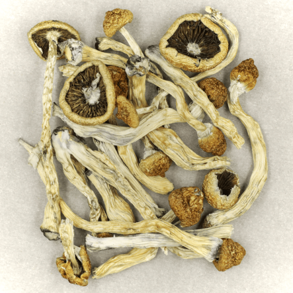 Texas Yellow Cap | Buy Weed Packs Canada