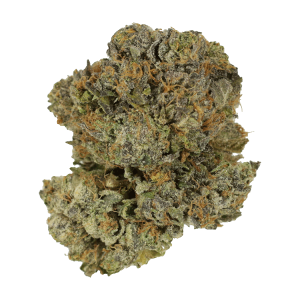 Chocolate Mint | Buy Weed Packs Canada