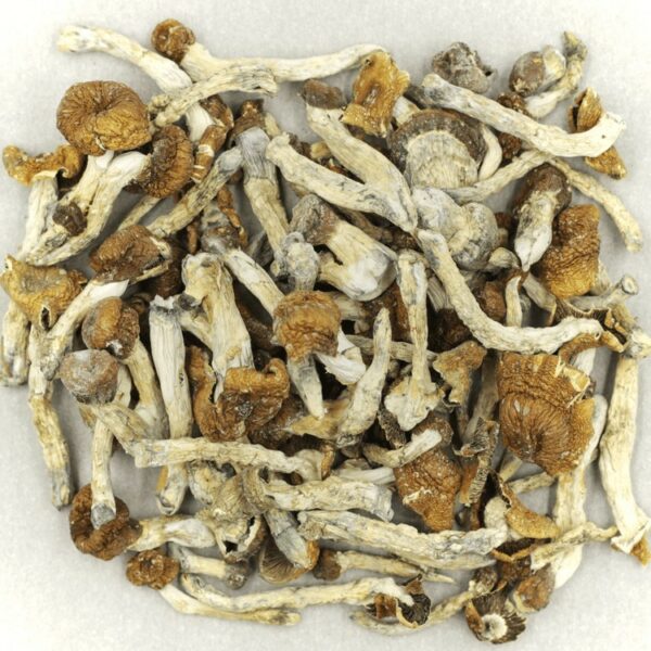 Florida White | Buy Weed Packs Canada