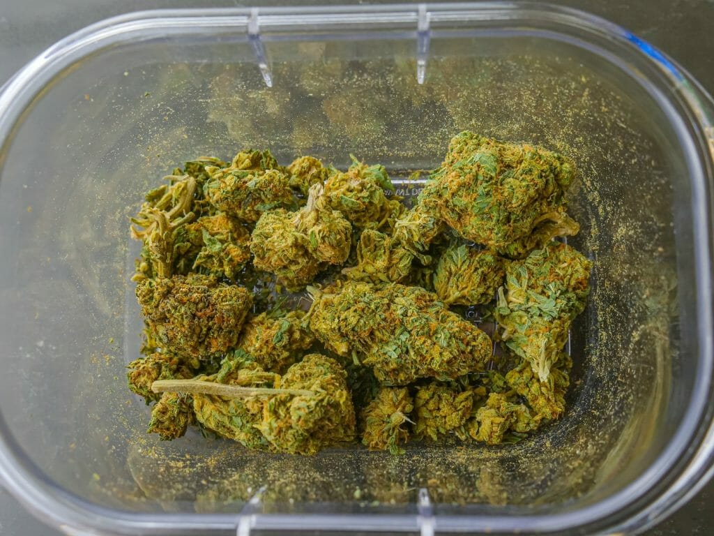 Best Hybrid Strains in Canada