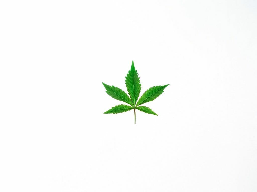 Benefits of Shopping in a BC cannabis Online Dispensary | Buy Weed Packs Canada