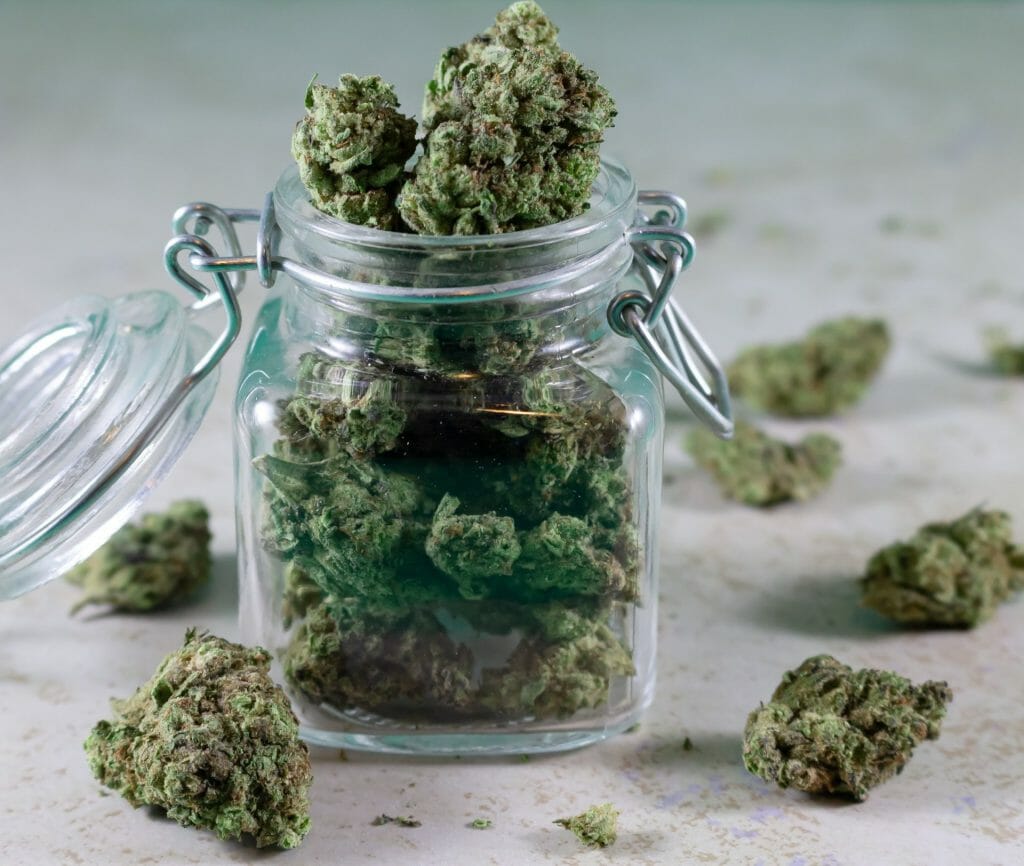 Bulk Weed: Unlocking the Power of Wholesale Cannabis | Buy Weed Packs Canada | Buy Weed Packs Canada
