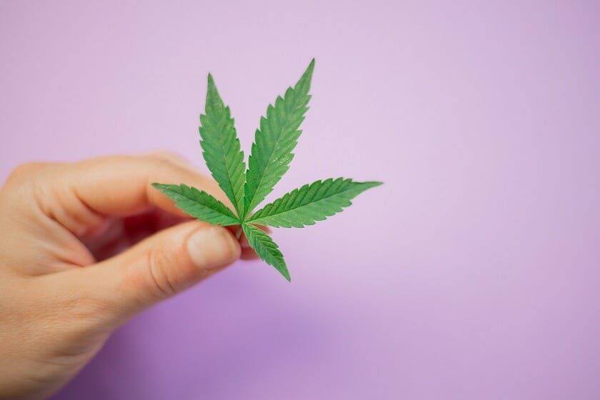 Discover How A cannabis Shop Helps You Better Understand Cannabis | Buy Weed Packs Canada | Buy Weed Packs Canada
