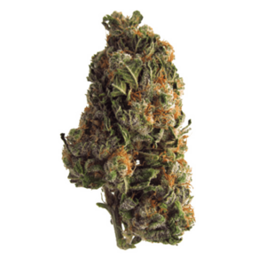 Grape Crush | Buy Weed Packs Canada